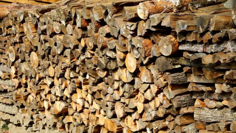 Снимка: Pixabay