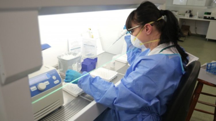 Снимка: Димитър Кьосемарлиев, Dnes.bg