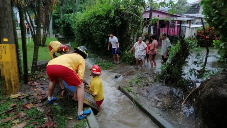 Снимка:БГНЕС