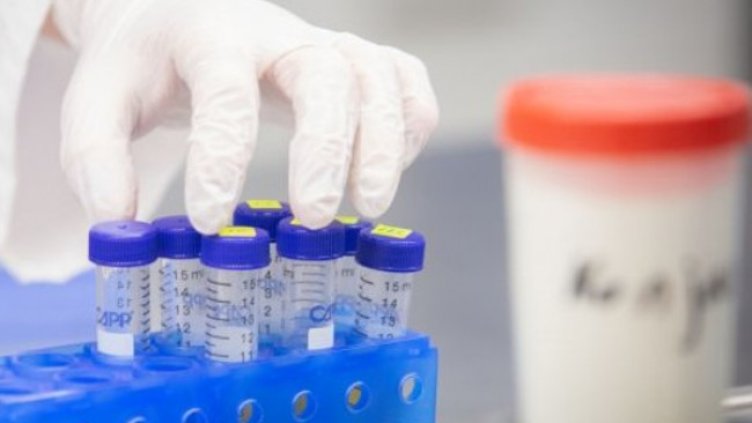 Снимка:Димитър Кьосемарлиев, Dnes.bg