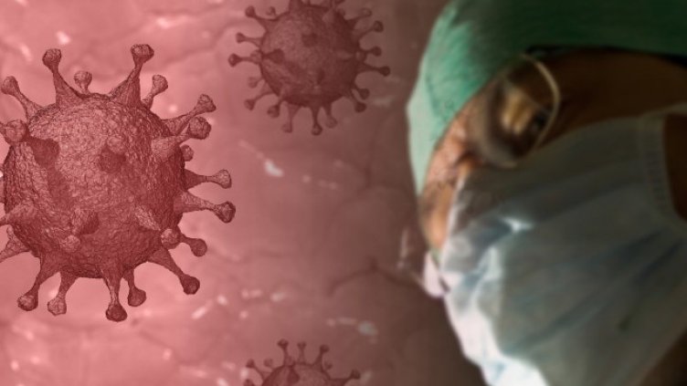 Снимка: Pixabay