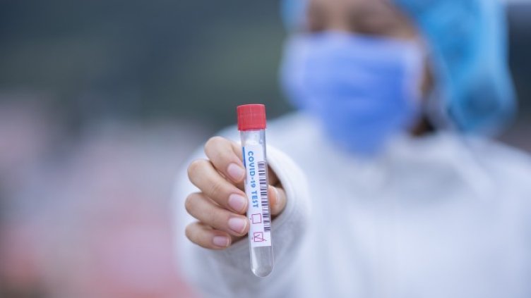 Снимка: Pixabay