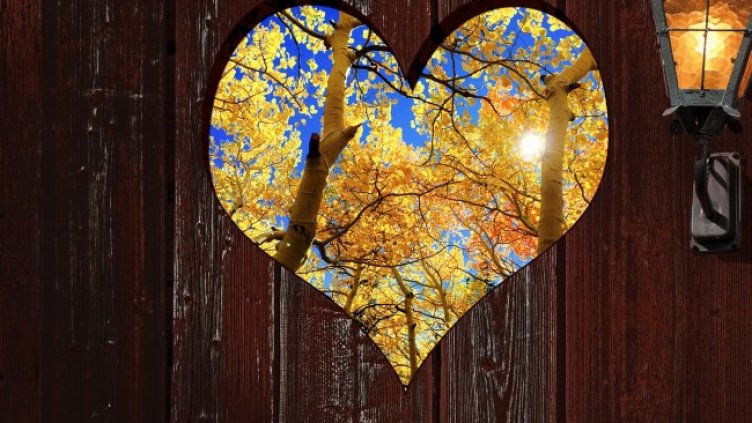 Снимка: Pixabay