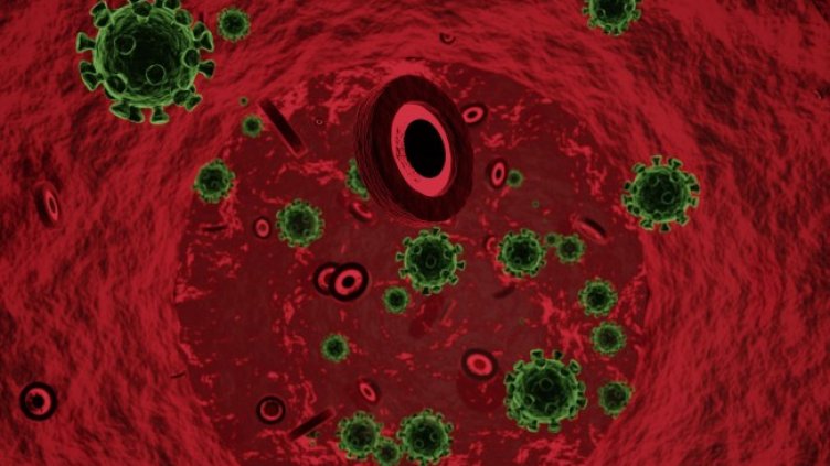 Снимка: Pixabay