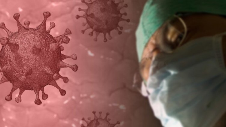 Снимка: Pixabay