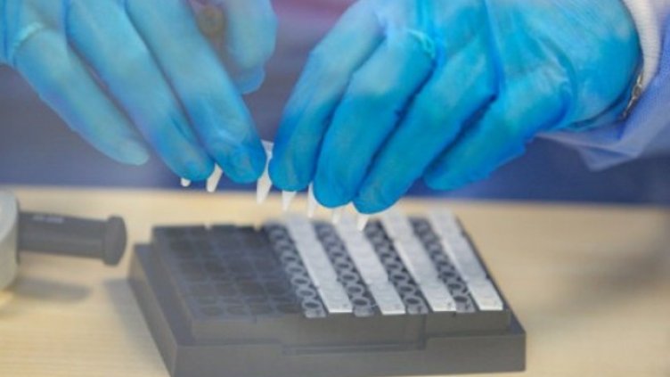 Снимка:Димитър Кьосемарлиев, Dnes.bg