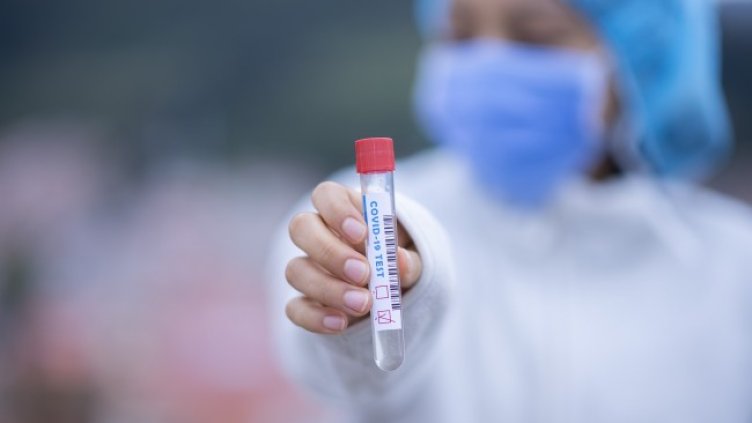 Снимка: Pixabay