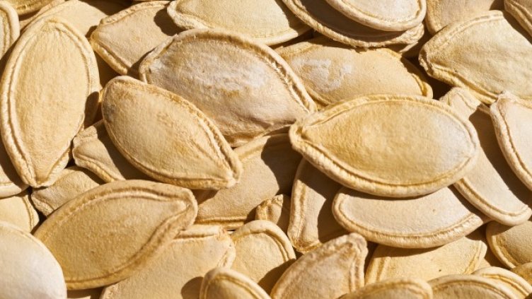 Снимка: Pixabay