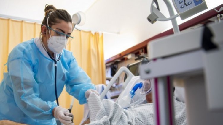 Снимка: БГНЕС