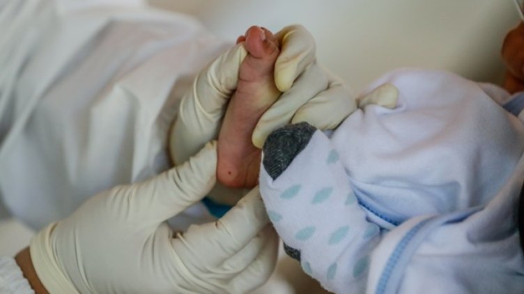 Снимка: БГНЕС