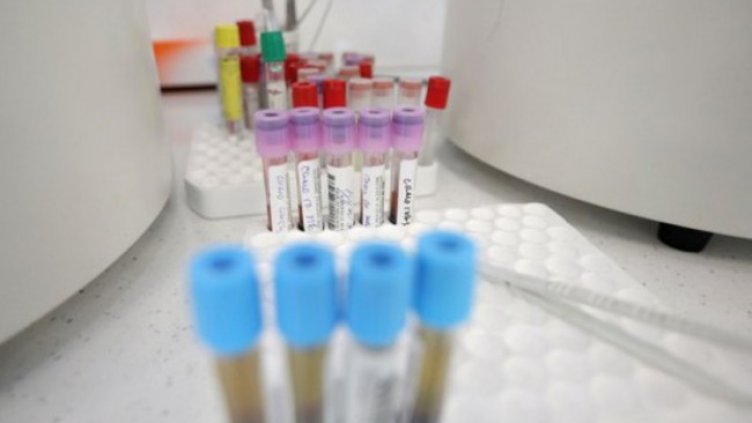 Снимка: Димитър Кьосемарлиев