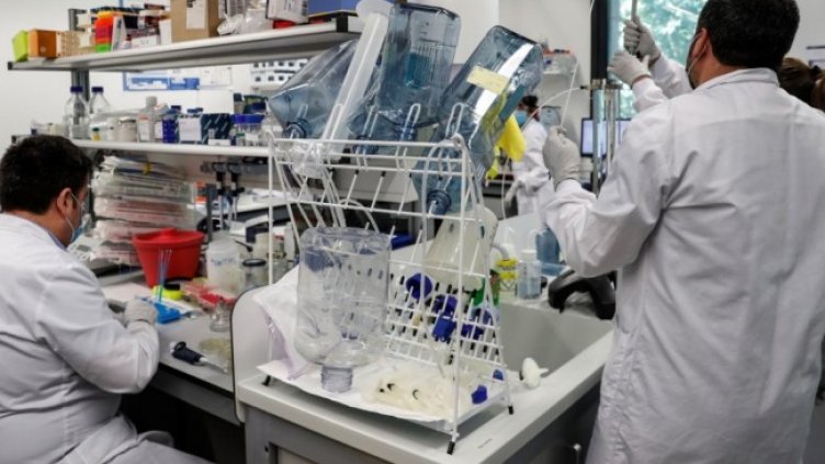 Снимка: архив, БГНЕС