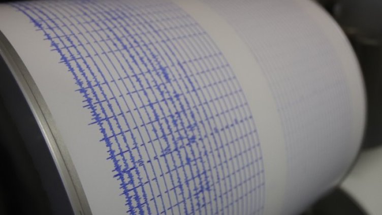 Снимка: архив, БГНЕС