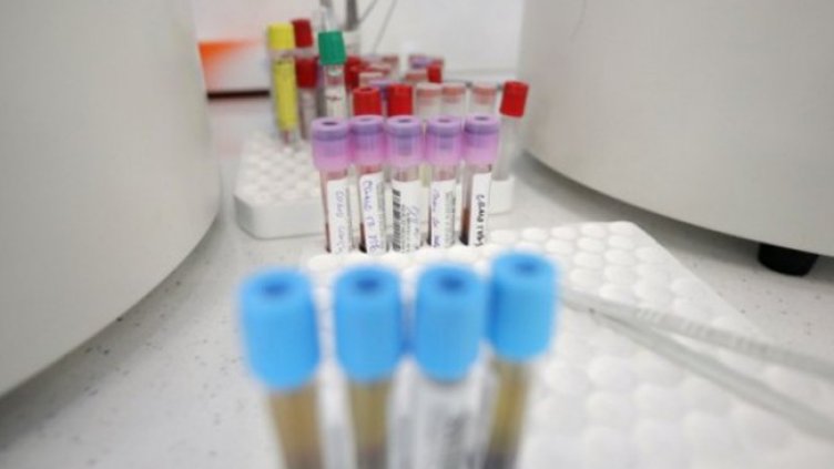 Снимка: Димитър Кьосемарлиев