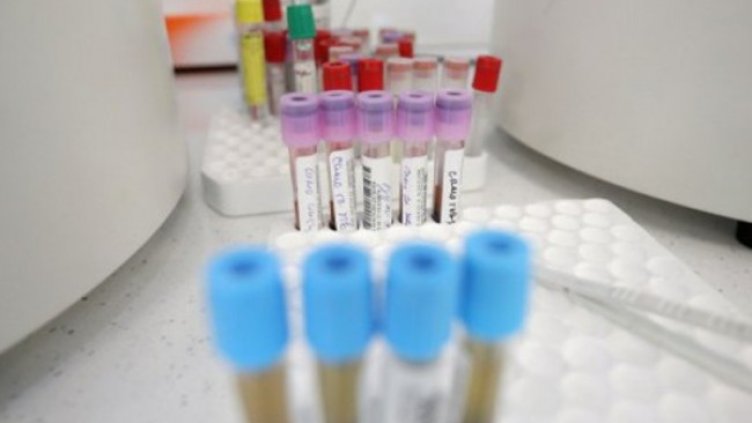 Снимка: Димитър Кьосемарлиев