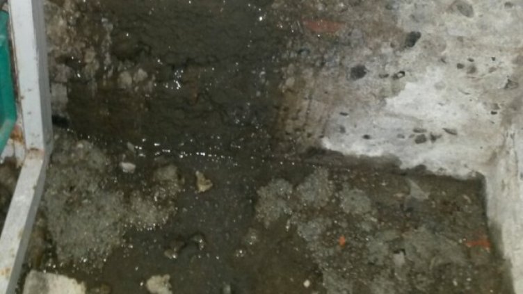 Снимка: Helpbook