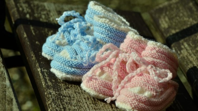 Снимка: Pixabay