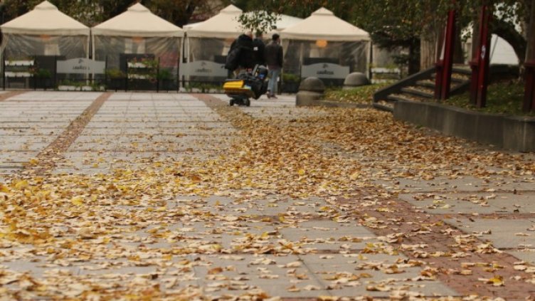 Снимка: БГНЕС