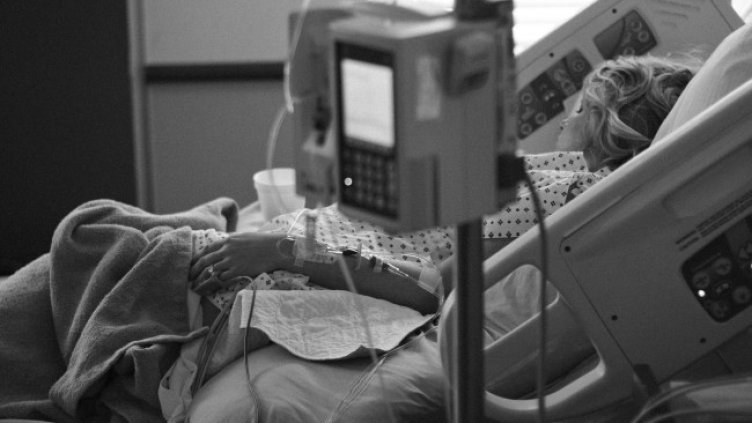 Снимка: Pixabay