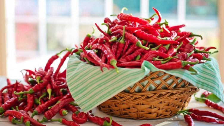 Снимка: Pixabay