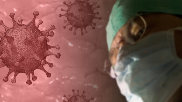 Снимка: Pixabay