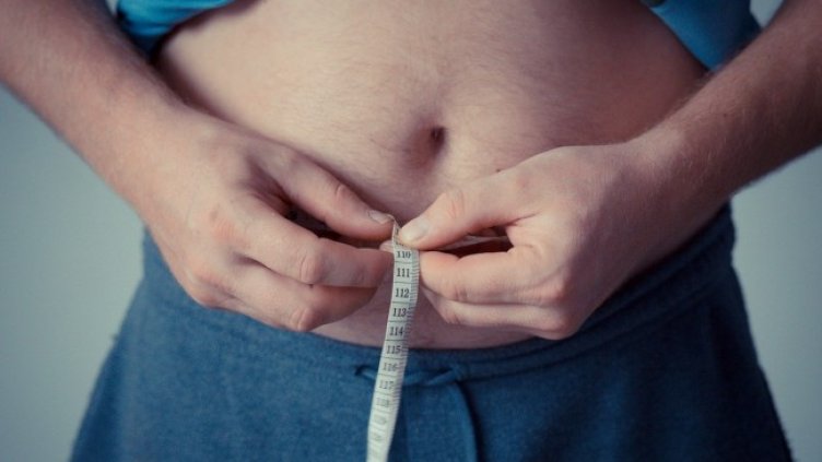 Снимка: Pixabay