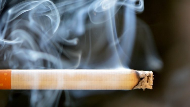 Снимка: Pixabay