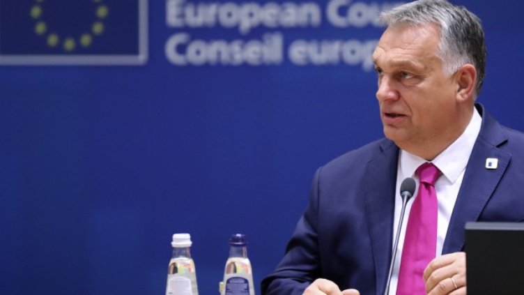 Снимка: архив, БГНЕС