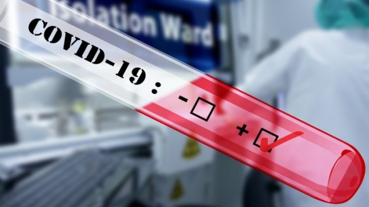 Снимка: Pixabay