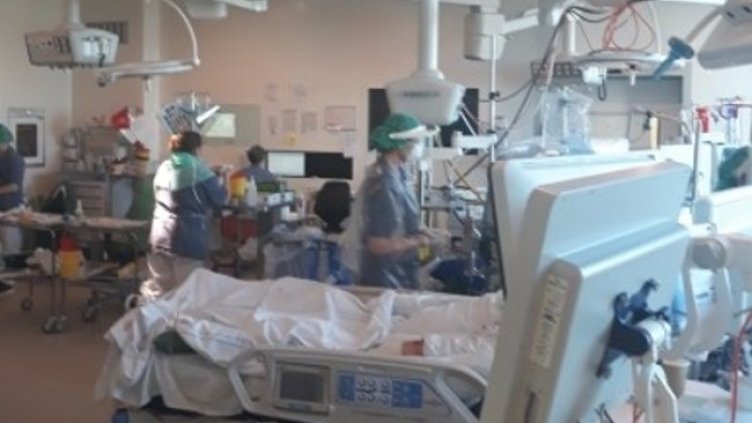 Снимка: БГНЕС