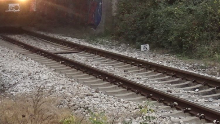 Снимка: БГНЕС, архив