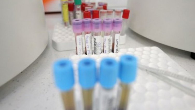 Снимка: Димитър Кьосемарлиев