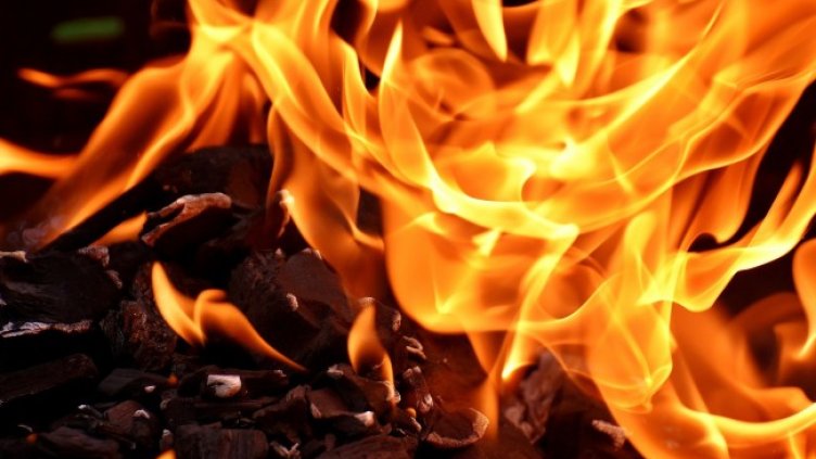 Снимка: Pixabay