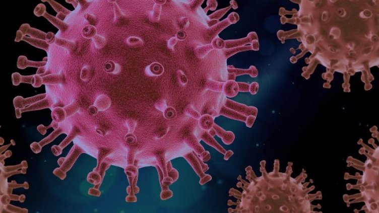 Снимка: Pixabay