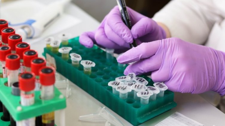 Снимка: Pixabay