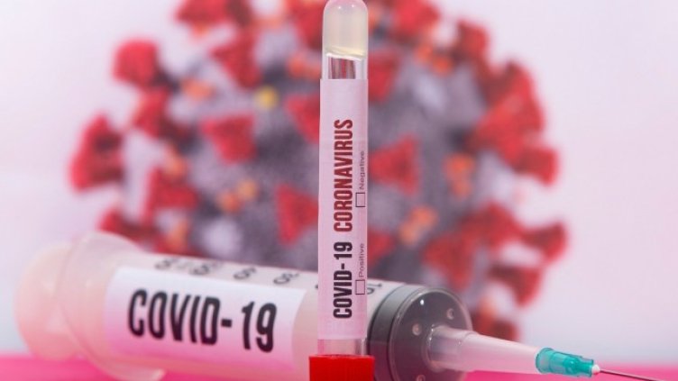 Снимка: Pixabay