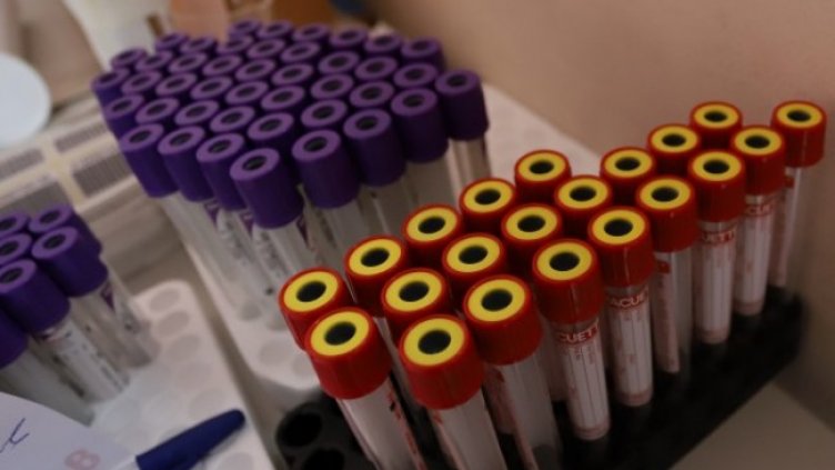 Снимка: Димитър Кьосемарлиев, Dnes.bg