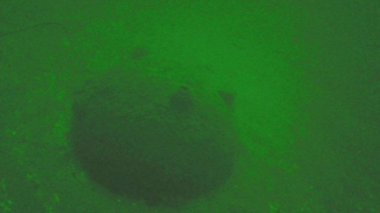 Снимка: ВМС