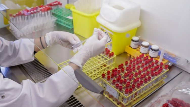 Снимка: БГНЕС