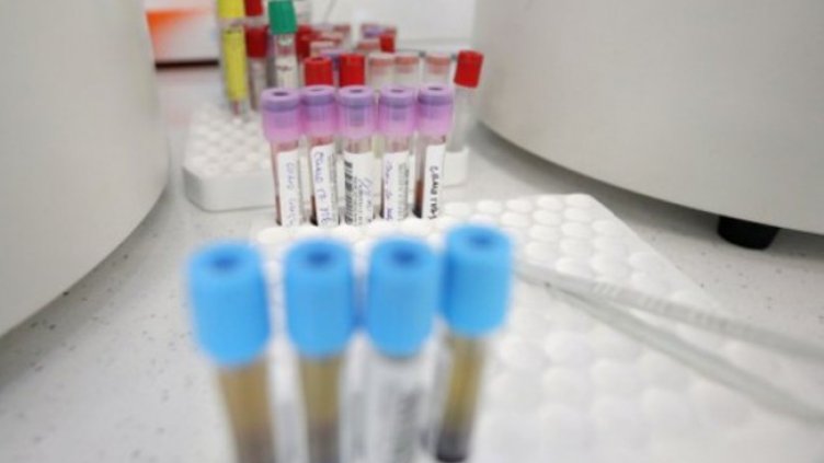 Снимка: Димитър Кьосемарлиев