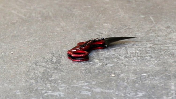 Снимка: архив, БГНЕС