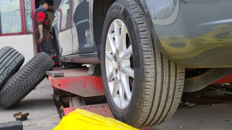 Снимка: архив, БГНЕС