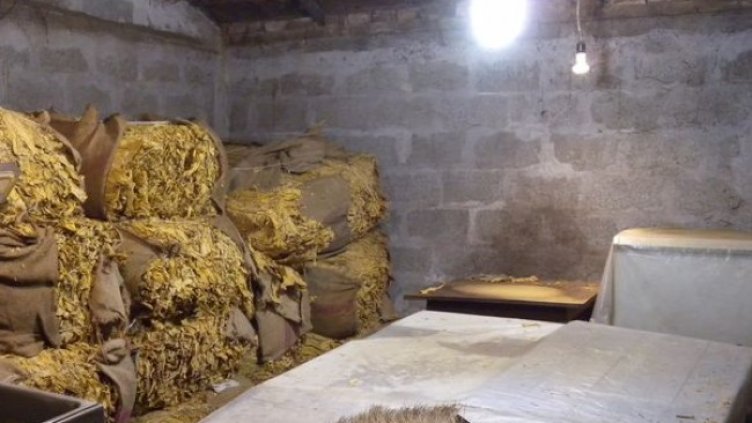 Снимка: архив, БГНЕС