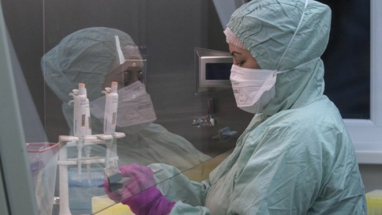 Снимка: БГНЕС