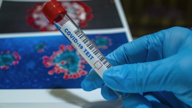 Снимка: Pixabay