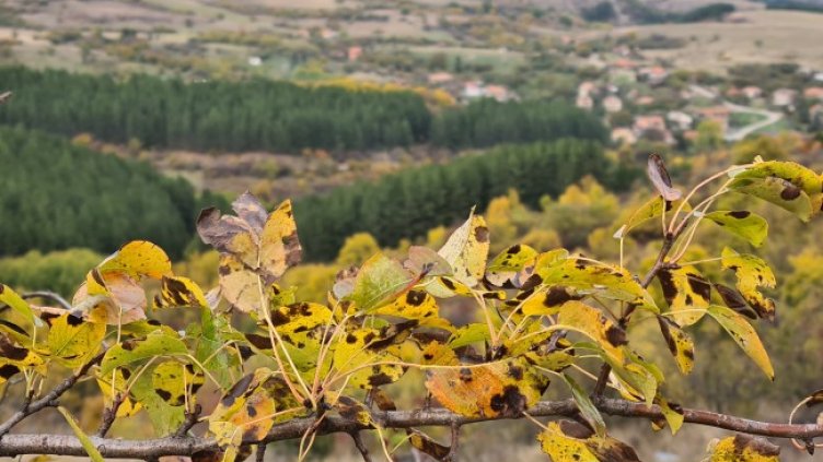 Снимка: БГНЕС