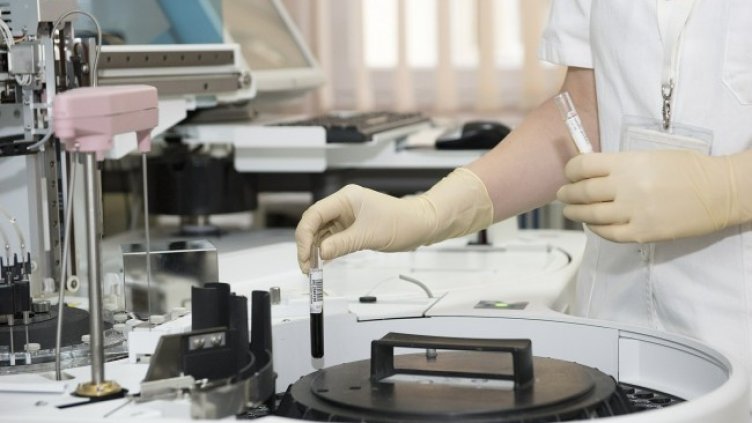 Снимка: Pixabay