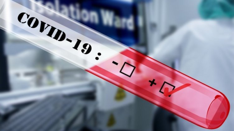 Снимка: Pixabay