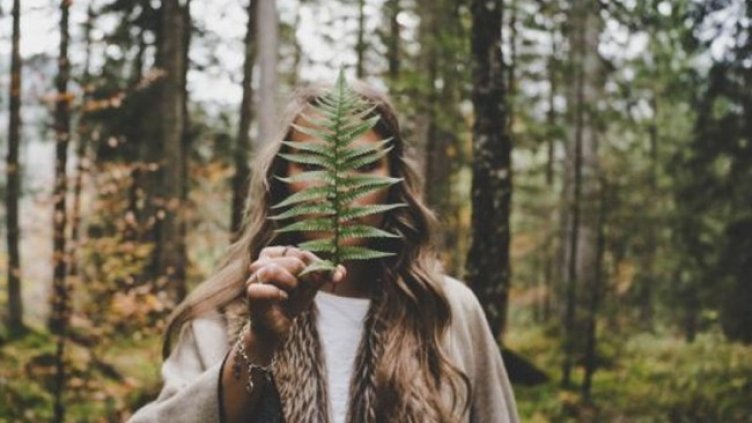 Снимка: pexels.com