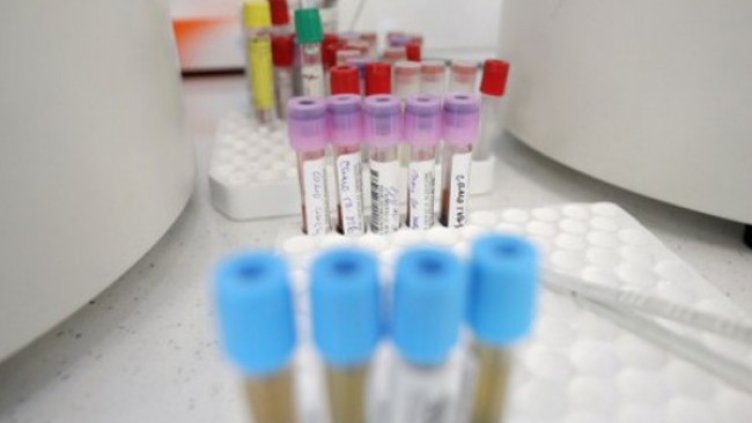 Снимка: Димитър Кьосемарлиев